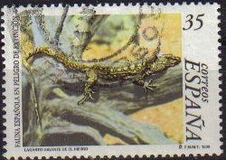 z vendido España 1999 3614 Sello º Fauna Española en peligro extinción Lagarto gigante de El Hierro  Michel3450 Timbre Espagne Spain Spagna